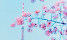 运气不好怎么转运最灵,摆放风水饰品可转运