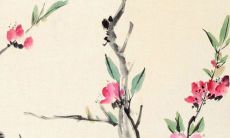 最近运气不好怎样才能转运,霉运来临有什么征兆