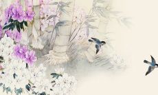 真正能催财运的方法,生活中招财方法有哪些