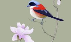 怎样才能聚财转运,运气不好带什么转运