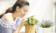 三角眼的女人是什么性格特点 三角眼解析