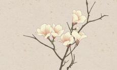 千古不传的求财秘诀是什么,求财转运最灵的方法