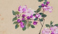 最厉害的转财运的方法,佩戴什么饰品可提升运气