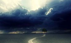 2022年巨蟹座总体运势发展