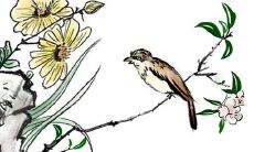 运气差的人怎么破霉运,如何赶走霉运