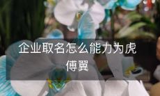 企业取名怎么能力为虎傅翼