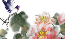 如何让自己运气旺起来,最有效的转运方法