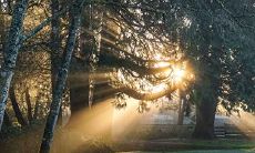 91年3月11日是什么命 农历正月二十五出生命运