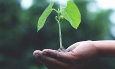 2023年出生最好的八字 生于农历四月一生顺遂