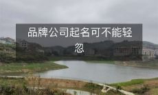 品牌公司起名可不能轻忽