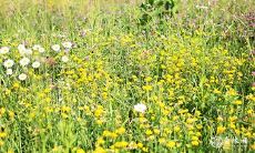 91年3月14日是什么命 农历正月二十八出生命运