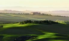 2023年走桃花运的八字 甲木命局桃花运势发展很旺盛