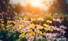 91年9月30日是什么命 农历八月二十三出命运