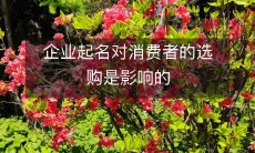 企业起名对消费者的选购是影响的
