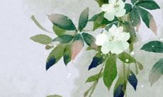 2023年2月最吉利的开工日子 开工黄道吉日