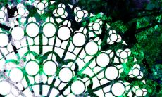 2023年事业好的八字 丁丑日柱做事努力