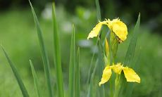 91年9月26日是什么命 农历八月十九出命运