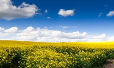 属兔人正月初六出生的命运 脾气温和谨慎善与众人相处