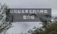 公司起名常见的六种类型介绍