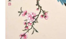 供佛供品的正确摆放方法 供佛的讲究