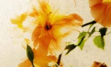 过年挂扇子有什么寓意 招财好运避邪气