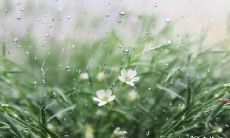 91年3月9日是什么命 农历正月二十三出生命运