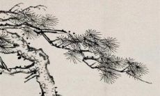 远嫁是怎么谈彩礼 结婚彩礼该不该要