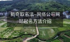 新奇取名法-网络公司网站起名方法介绍