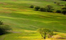 正月初五出生的男孩是什么命2023年 一生命格丰财