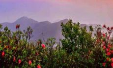 卧室摆放结婚照对婚姻什么好处