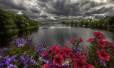 彭允忻姓名评分89分