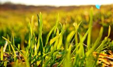 2023年存款最多的生肖 属龙人会有意外财运