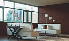 十二星座中哪些星座冷漠不爱社交