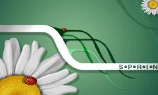 姜叶明姓名评分95分