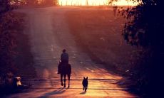 贾恩存姓名评分90分