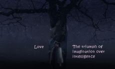 解玉君姓名评分86分