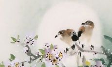 2022年8月8日商铺开张好吗 好日子查询