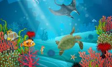 婴儿床的风水禁忌是什么 如何摆放婴儿床有利风水