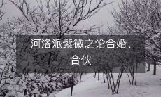 河洛派紫微之论合婚、合伙