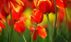 刁雯静姓名评分70分