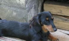 平耀姓名评分88分