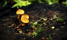 孔继忠姓名评分89分