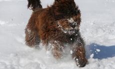 莫淇姓名评分103分