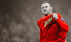 白军奎姓名评分88分