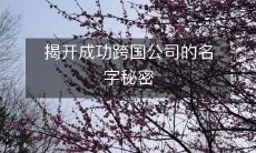 揭开成功跨国公司的名字秘密