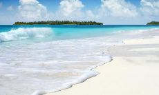 孔颜姓名评分65分