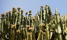 大年初四生孩子有什么说法2023年 中年事业发展顺利