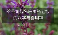 给公司起名应围绕老板的八字与喜用神