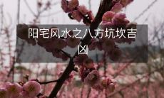 阳宅风水之八方坑坎吉凶