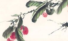 穿衣色彩攻略: 2023年4月24日最佳幸运色查询